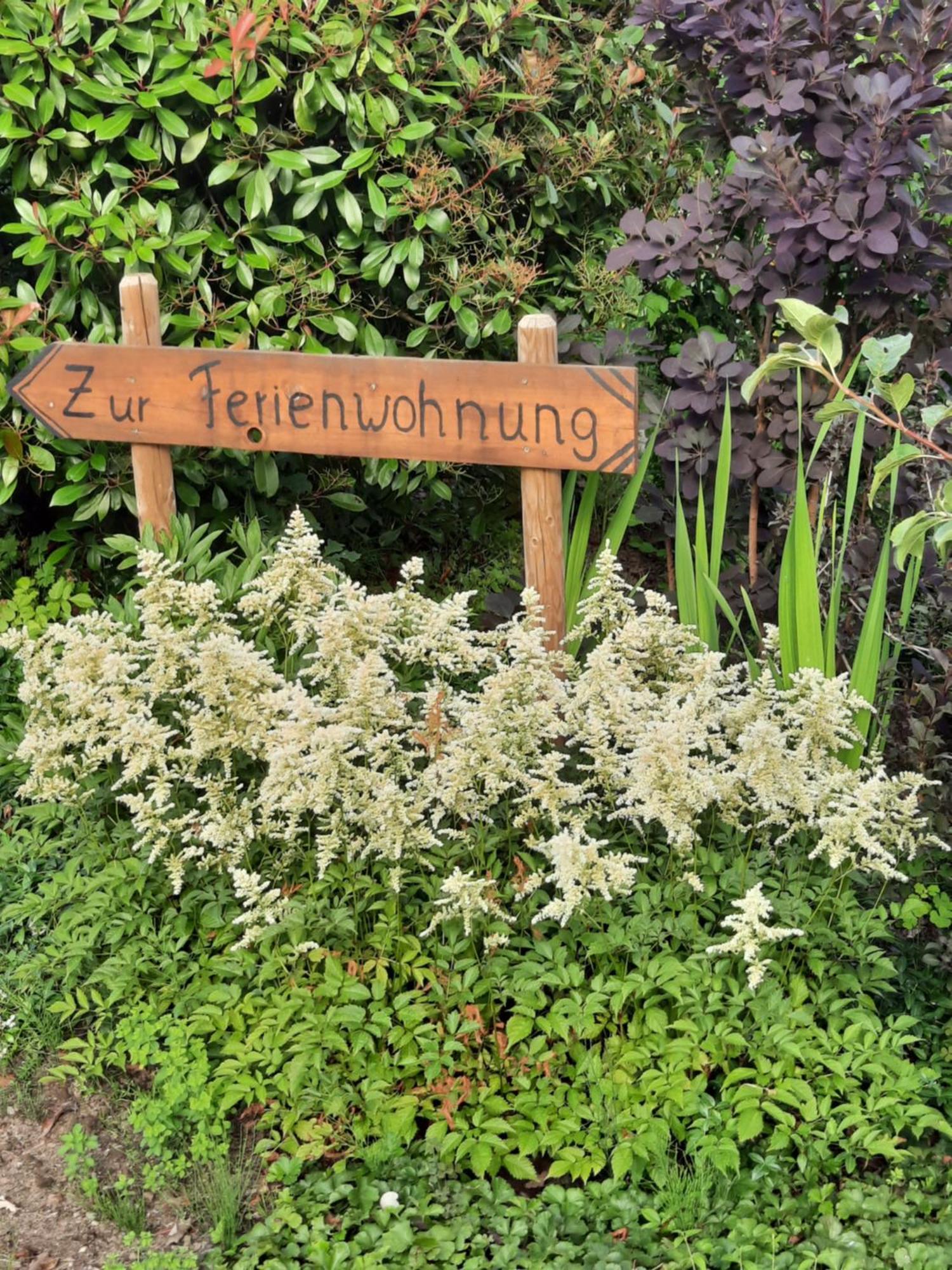 Ferienwohnung Van Den Berg Rees Esterno foto